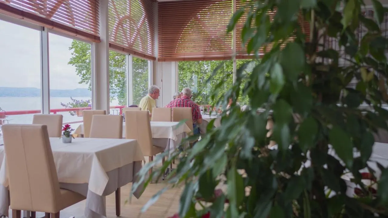 Hôtel Des Princes Amphion-les-Bains Hotel